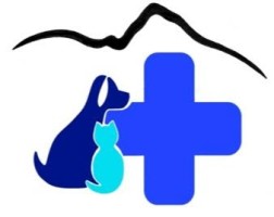 CLINIQUE VETERINAIRE DU CANIGO